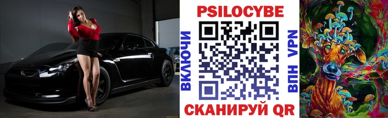 даркнет сайт  МЕГА рабочий сайт  Псилоцибиновые грибы мухоморы  Камень-на-Оби 